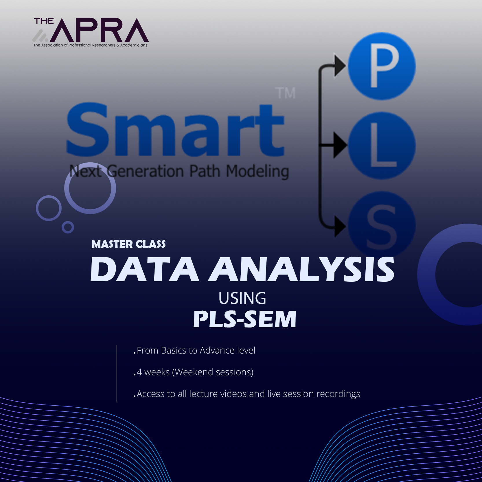 Data Analysis using PLS-SEM